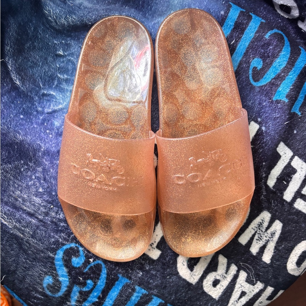 Coach Rose Gold Glitter Slide Sandals
